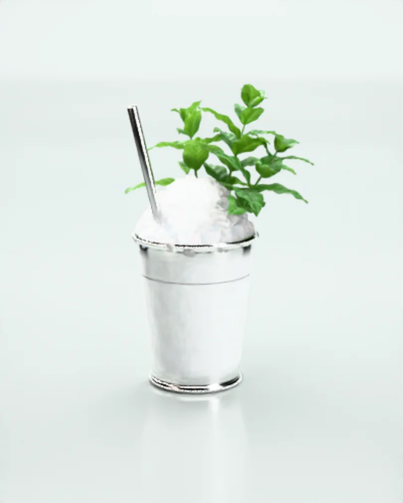 Kırağı tutmuş metal kupada kırık buz ve nane demetiyle Mint Julep